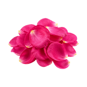 Damask Rose