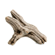 Driftwood