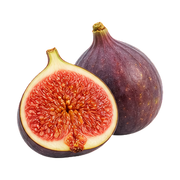 Fig