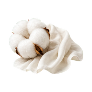 fresh-cotton