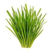 Sweet Grass