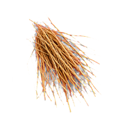 Haitian Vetiver