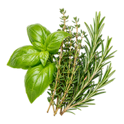 herbal notes fragrance note