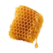 honeycomb