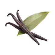 madagascar-vanilla