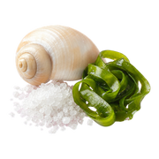 marine notes fragrance note