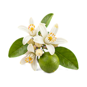 Neroli