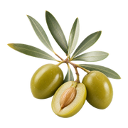 Olive fragrance note