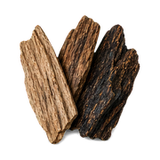oud-accord