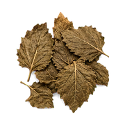 Patchouli