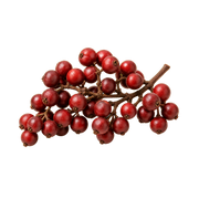 Pimento Leaf