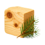 Spruce