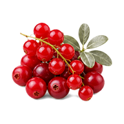 Red Berries