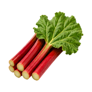 Rhubarb