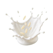rice-milk