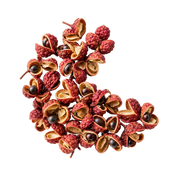 Sichuan Pepper