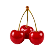 sour-cherry