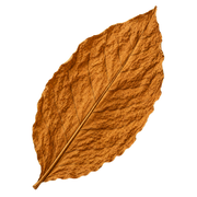 tobacco-leaf
