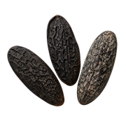 Tonka Bean
