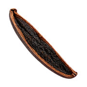 Vanilla Bean