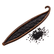 Vanilla Caviar