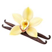Vanilla