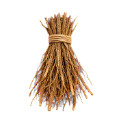 Vetiver