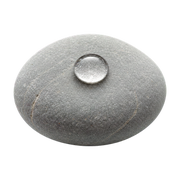 watery notes fragrance note