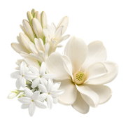 white flowers fragrance note