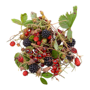 wild berries fragrance note