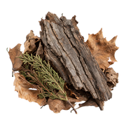 woodsy notes fragrance note